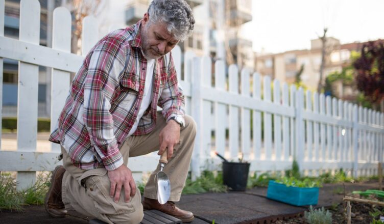 potager urbain